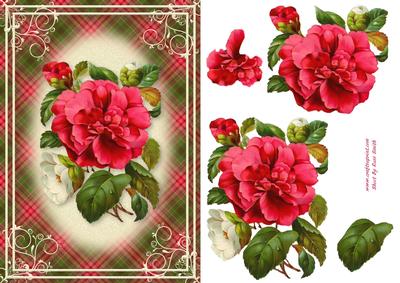 Pink and White Flowers Card Front 2