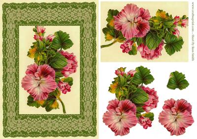 Pink Flowers on Green Lace Card Front