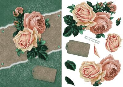 Antique Roses Card Front