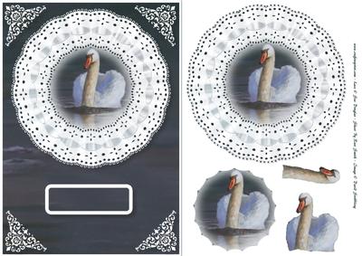 Swan & Lace Card Front