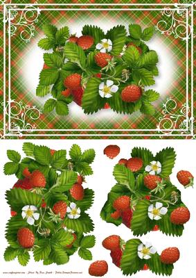 Strawberries Card Front