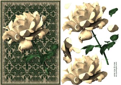 Stunning Gold Rose Card Front
