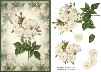 White & Pink Roses Card Front