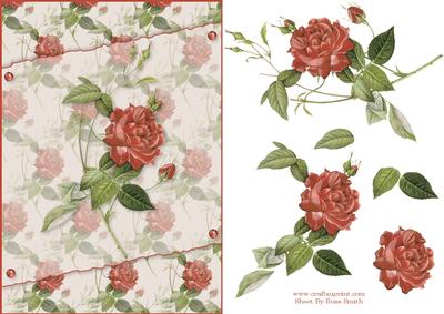 Red Rose Card Front