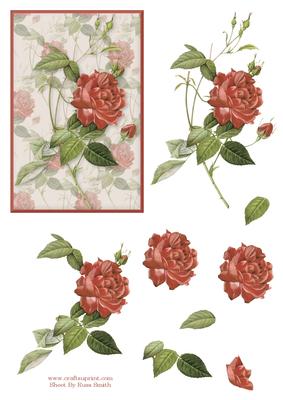 Red Rose Decoupage