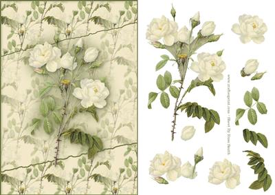 Cream Roses Card Front