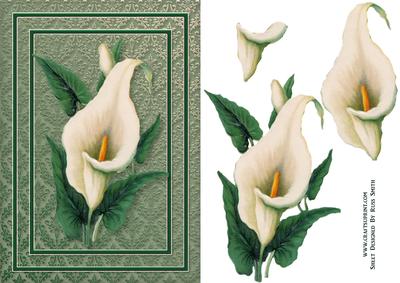 Calla Lily Card Front