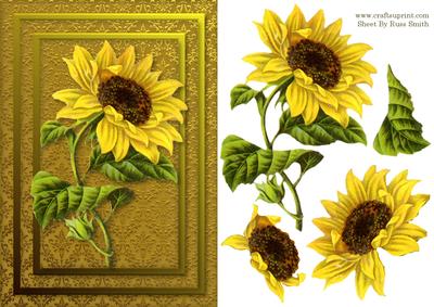 Sunflower Card Front
