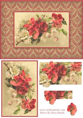 Pink & White Flowers Card Front