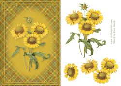 Sunflowers Card Front