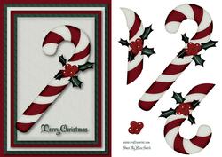 Candy Cane & Holly Card Front