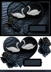 Swans Card Front