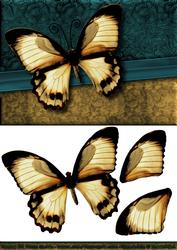 Blue & Gold Butterfly Quick Card