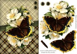 Butterfly & Flowers Quick Card