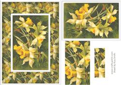 Daffodils Card Front