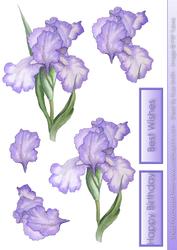 Purple Iris Decoupage