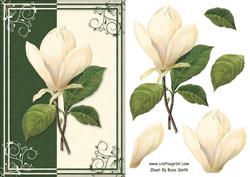 Magnolia Quick Card