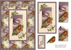 Robin & Snow Scene Quick Card
