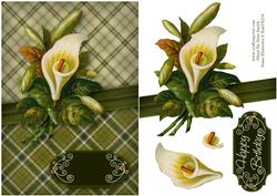 Calla Lily Quick Card