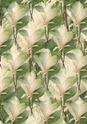 Cream Flower Backing