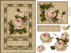 Cream Roses Quick Card
