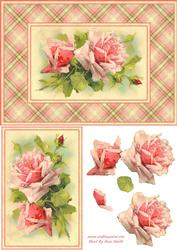 Pink Roses Quick Card