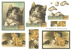 Cats Decoupage & Pyramage