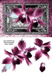 Gothic Pink Flowers Quick Card