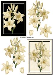 Cream Lilies on Black Decoupage