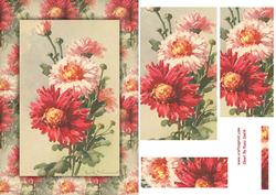 Bunch of Daisies Quick Card
