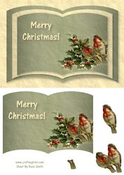 Robins Book Sheet