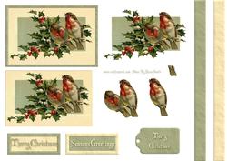Robins & Holly Step by Step