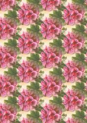 Pink Flowers Backing