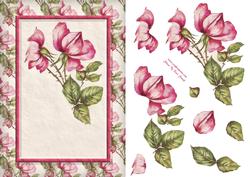 Pink Flowers Quick Card