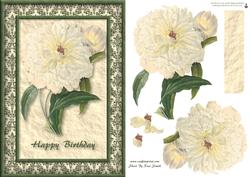 Cream Flower Quick Card