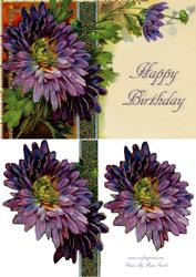 Purple Flower Quick Card