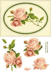 Pink Roses Quick Card