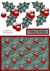 Holly Quick Card