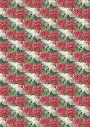 Deep Red Roses Backing