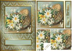 Daisies Quick Card