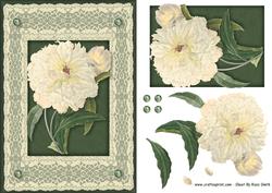 Cream Flower Quick Card