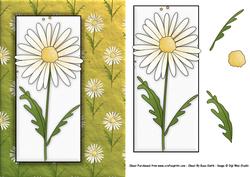 Daisy Quick Card