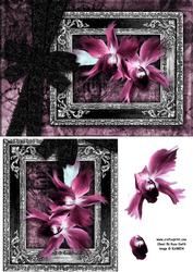 Gothic Pink Flowers Quick Card