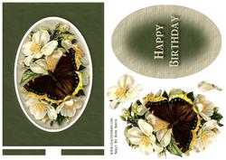 Birthday Butterfly Spinner Card