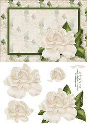 Cream Rose Quick Card - Blank
