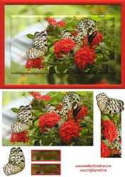Red Flowers and Butterfly Card Front