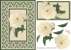 Cream Flowers on Damask Quick Card