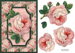 Pink Rose Quick Card