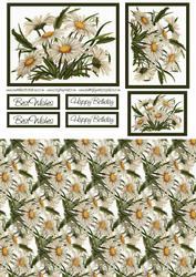 Daisies Card Kit