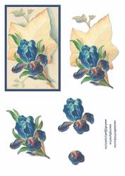 Iris and Leaf Decoupage